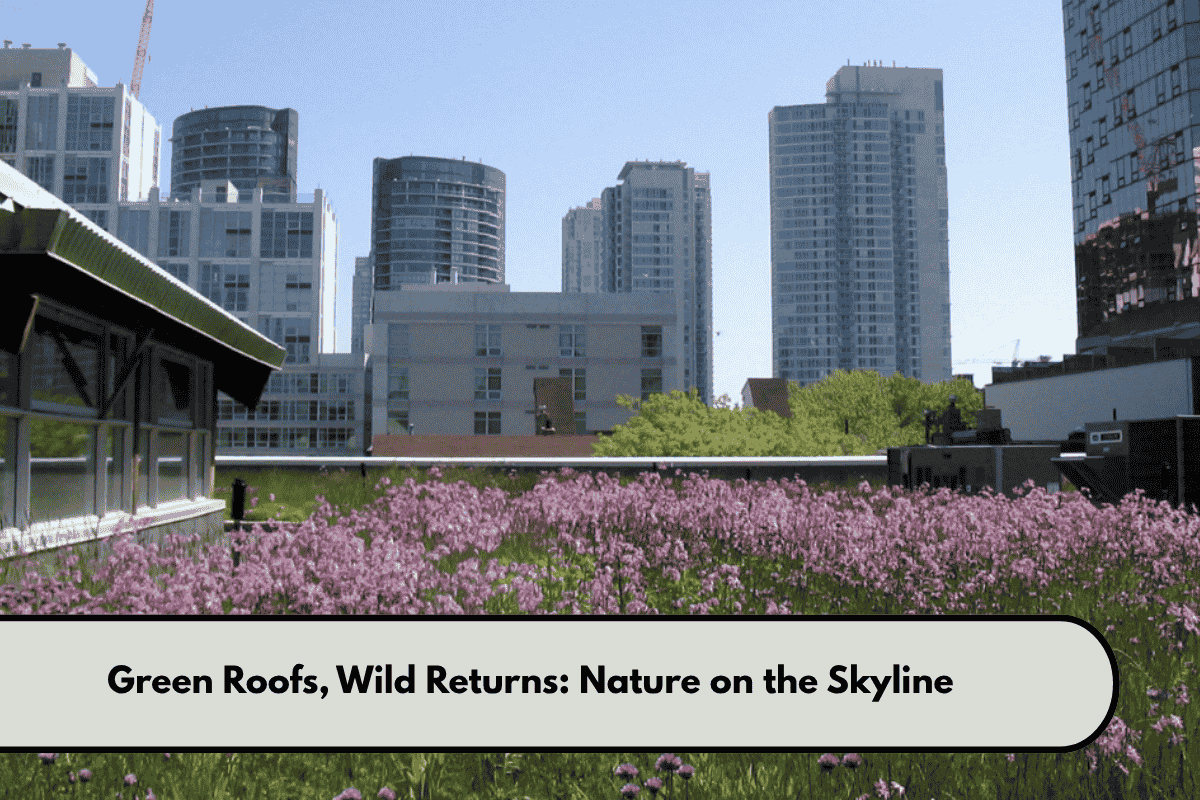 Green Roofs, Wild Returns Nature on the Skyline