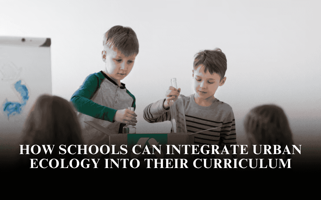 How Schools Can Integrate Urban Ecology Into Their Curriculum