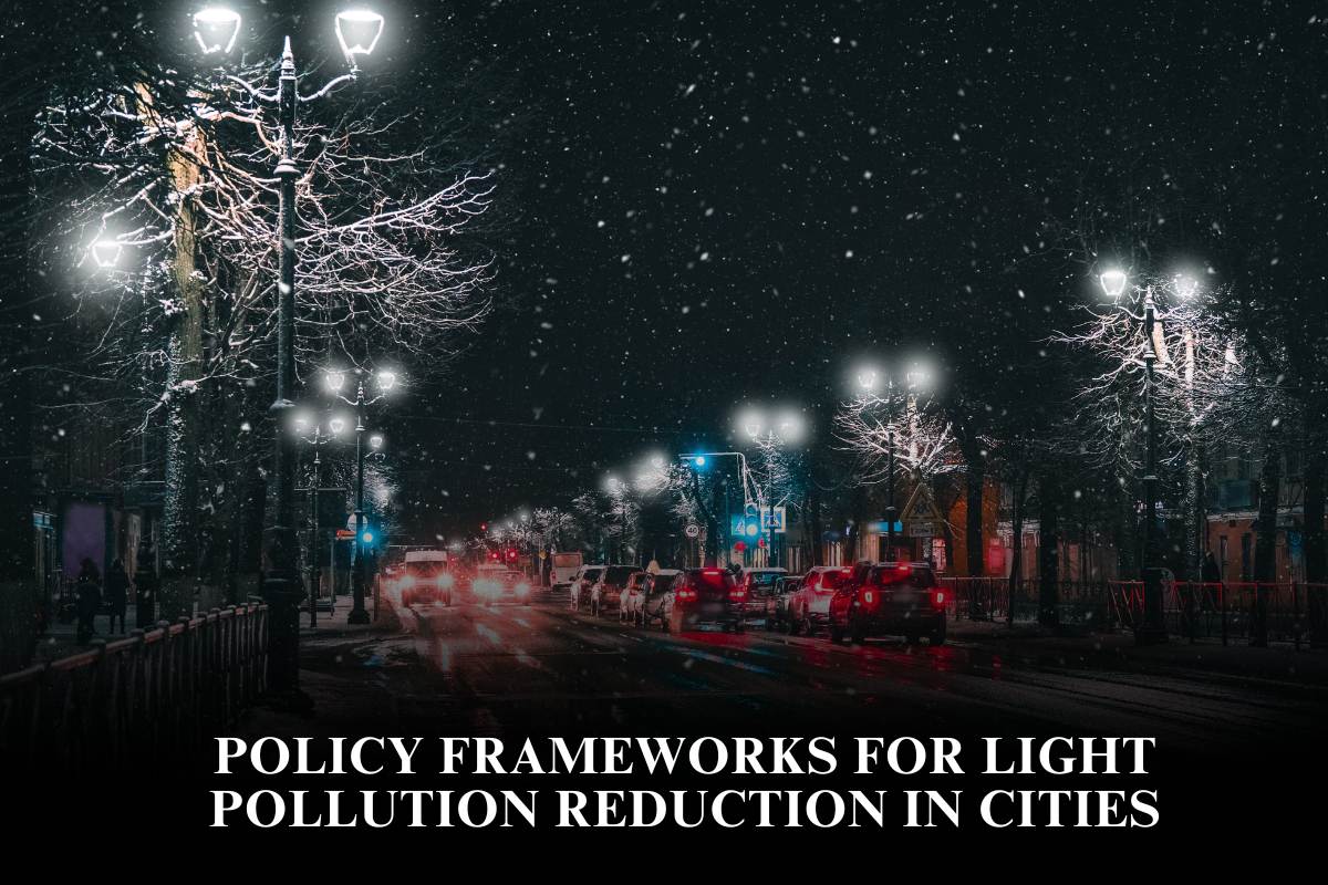 Policy Frameworks for Light Pollution Reduction in Cities