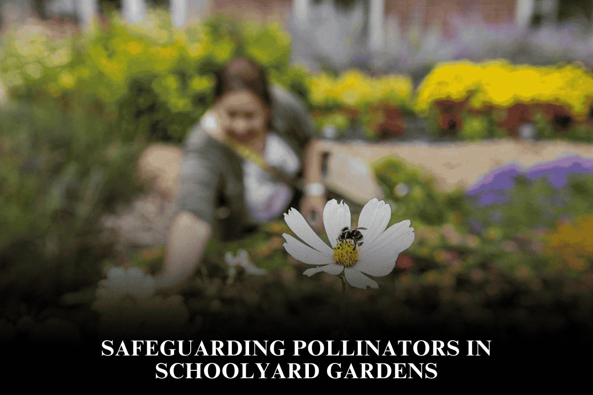 Safeguarding Pollinators in Schoolyard Gardens