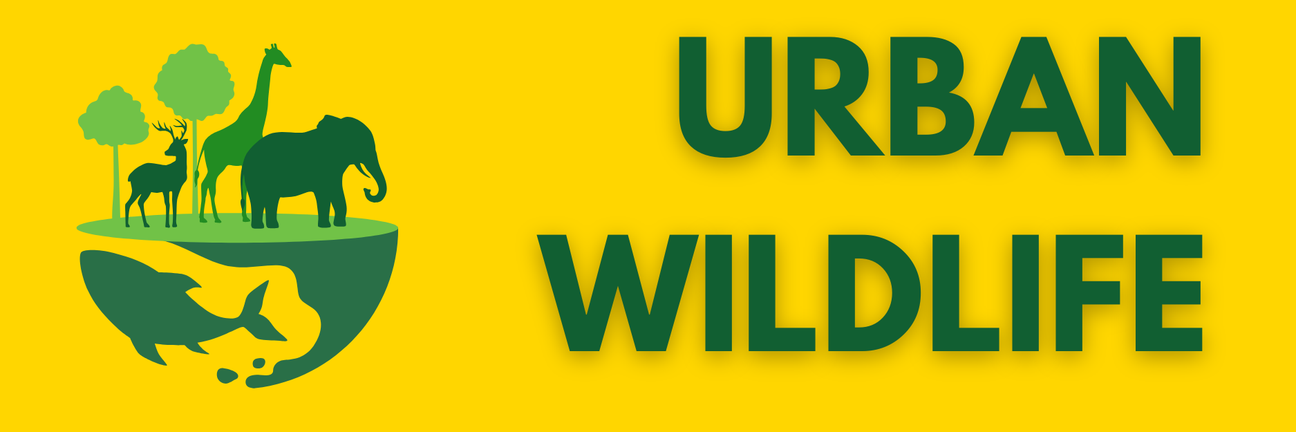 Urban Wildlife
