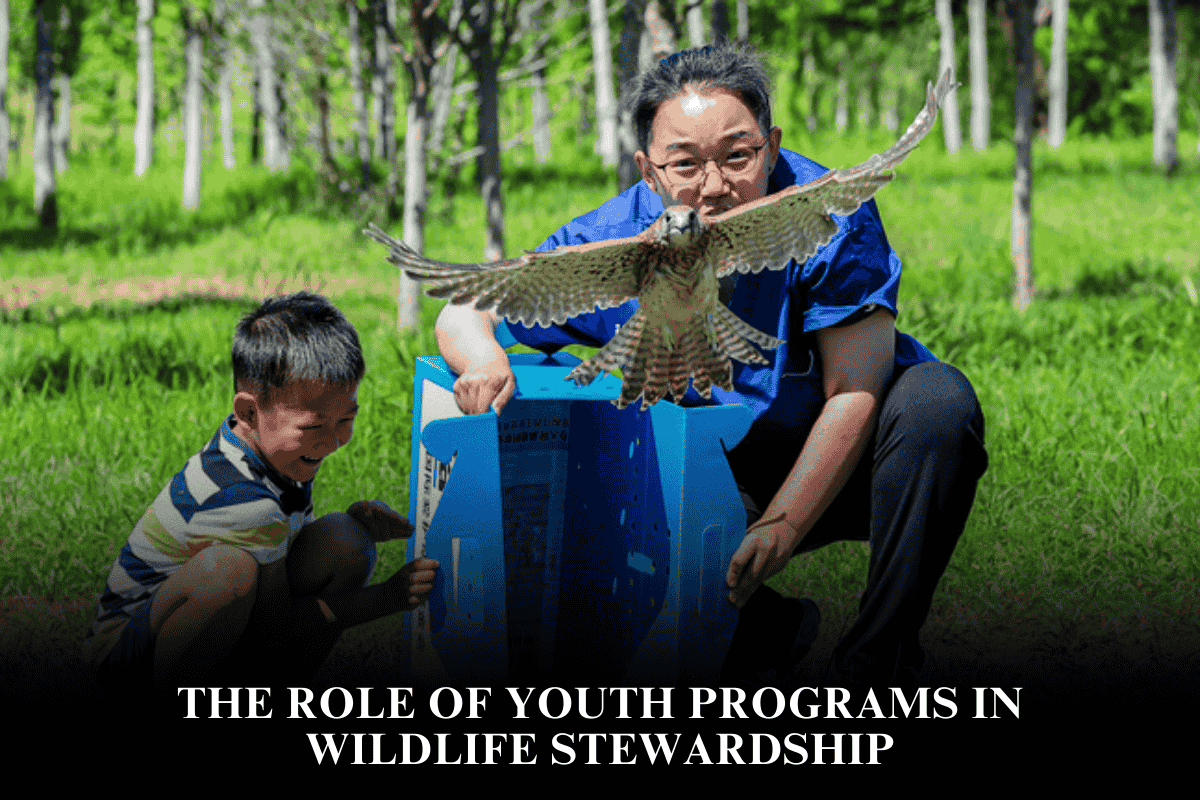 The Role of Youth Programs in Wildlife Stewardship