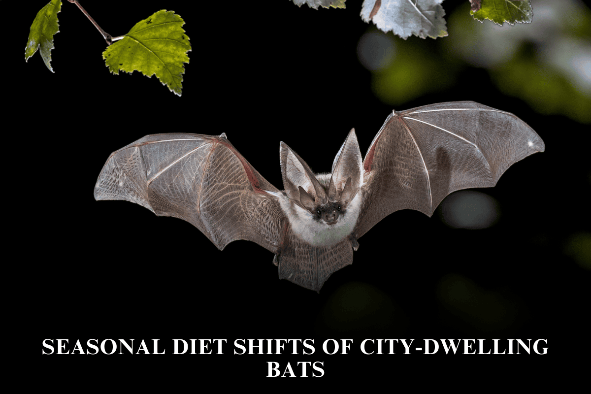 Seasonal Diet Shifts of City-Dwelling Bats